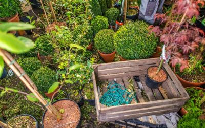 Rent a Dumpster for Landscaping Projects in San Jose